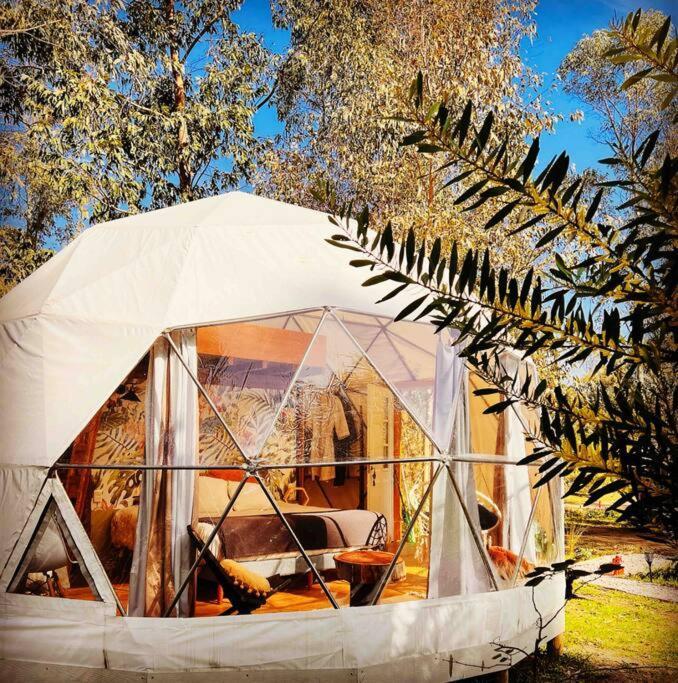 Magia Ecolodges, Glamping Punta Colorada Exteriör bild