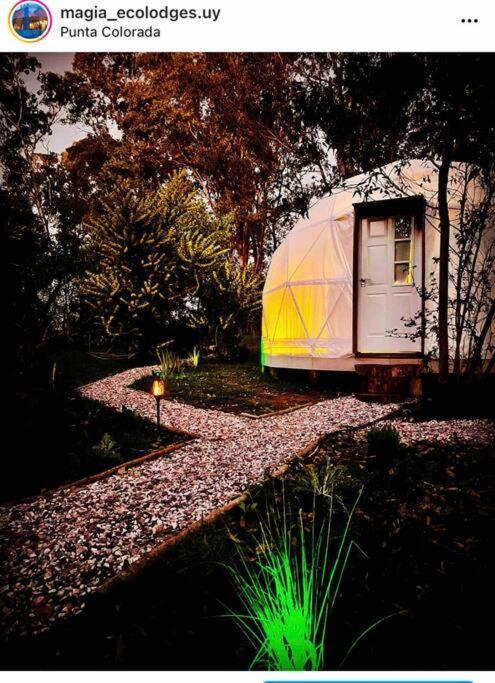 Magia Ecolodges, Glamping Punta Colorada Exteriör bild