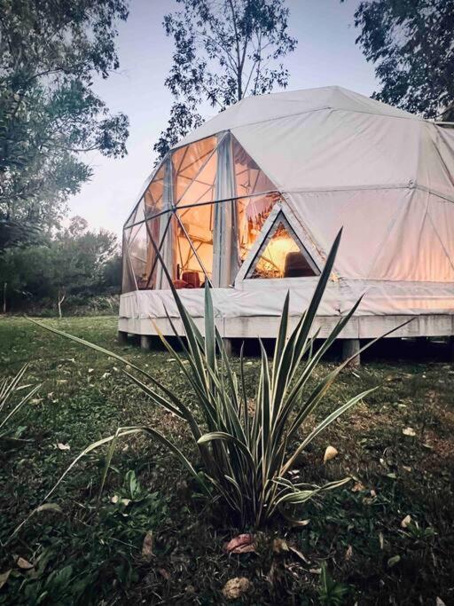 Magia Ecolodges, Glamping Punta Colorada Exteriör bild